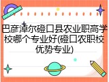巴彦淖尔磴口县农业职高学校哪个专业好(磴口农职校优势专业)