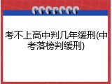 考不上高中判几年缓刑(中考落榜判缓刑)