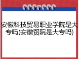 安徽科技贸易职业学院是大专吗(安徽贸院是大专吗)