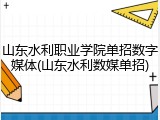 山东水利职业学院单招数字媒体(山东水利数媒单招)