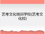 艺考文化培训学校(艺考文化校)