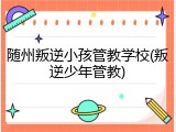 随州叛逆小孩管教学校(叛逆少年管教)