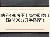 估分490考不上高中最佳出路("490分升学选择")
