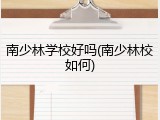南少林学校好吗(南少林校如何)