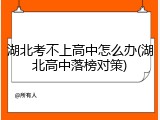 湖北考不上高中怎么办(湖北高中落榜对策)