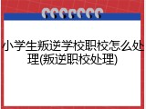 小学生叛逆学校职校怎么处理(叛逆职校处理)
