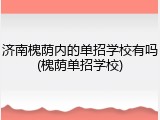 济南槐荫内的单招学校有吗(槐荫单招学校)
