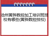 沧州黄骅数控加工培训班技校有哪些(黄骅数控技校)