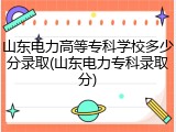 山东电力高等专科学校多少分录取(山东电力专科录取分)