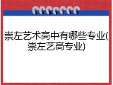 崇左艺术高中有哪些专业(崇左艺高专业)