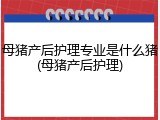 母猪产后护理专业是什么猪(母猪产后护理)