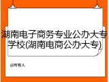 湖南电子商务专业公办大专学校(湖南电商公办大专)