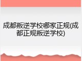 成都叛逆学校哪家正规(成都正规叛逆学校)
