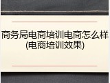 商务局电商培训电商怎么样(电商培训效果)