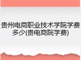 贵州电商职业技术学院学费多少(贵电商院学费)