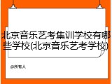 北京音乐艺考集训学校有哪些学校(北京音乐艺考学校)