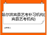 哈尔滨宾县艺考补习机构(宾县艺考机构)