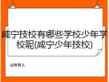 咸宁技校有哪些学校少年学校呢(咸宁少年技校)