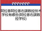 阿拉善阿拉善右旗数控技术学校有哪些(阿拉善右旗数控学校)