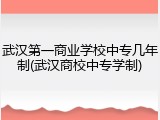 武汉第一商业学校中专几年制(武汉商校中专学制)