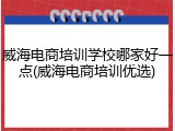 威海电商培训学校哪家好一点(威海电商培训优选)