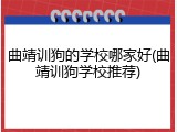 曲靖训狗的学校哪家好(曲靖训狗学校推荐)