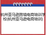 杭州亚马逊跨境电商培训学校(杭州亚马逊电商培训)