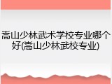 嵩山少林武术学校专业哪个好(嵩山少林武校专业)
