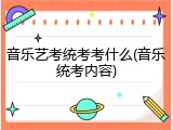 音乐艺考统考考什么(音乐统考内容)