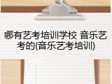 哪有艺考培训学校 音乐艺考的(音乐艺考培训)