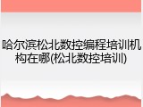哈尔滨松北数控编程培训机构在哪(松北数控培训)