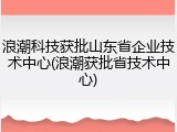 浪潮科技获批山东省企业技术中心(浪潮获批省技术中心)
