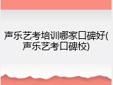声乐艺考培训哪家口碑好(声乐艺考口碑校)