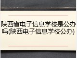 陕西省电子信息学校是公办吗(陕西电子信息学校公办)