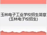玉林电子工业学校招生简章(玉林电子校招生)
