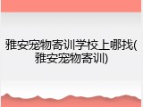 雅安宠物寄训学校上哪找(雅安宠物寄训)