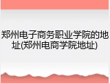 郑州电子商务职业学院的地址(郑州电商学院地址)