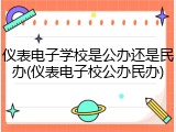 仪表电子学校是公办还是民办(仪表电子校公办民办)