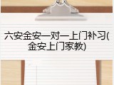 六安金安一对一上门补习(金安上门家教)