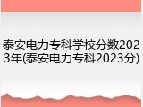 泰安电力专科学校分数2023年(泰安电力专科2023分)