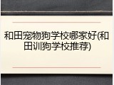和田宠物狗学校哪家好(和田训狗学校推荐)
