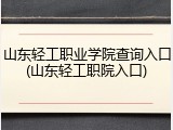 山东轻工职业学院查询入口(山东轻工职院入口)