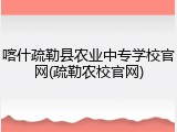 喀什疏勒县农业中专学校官网(疏勒农校官网)