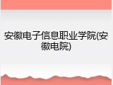 安徽电子信息职业学院(安徽电院)