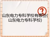 山东电力专科学校有哪些(山东电力专科学校)