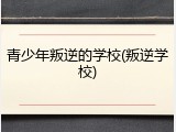 青少年叛逆的学校(叛逆学校)