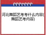 河北舞蹈艺考考什么内容(舞蹈艺考内容)