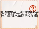 红河建水县正规单招培训学校在哪(建水单招学校在哪)