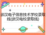 武汉电子信息技术学校录取线(武汉电校录取线)