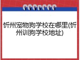 忻州宠物狗学校在哪里(忻州训狗学校地址)